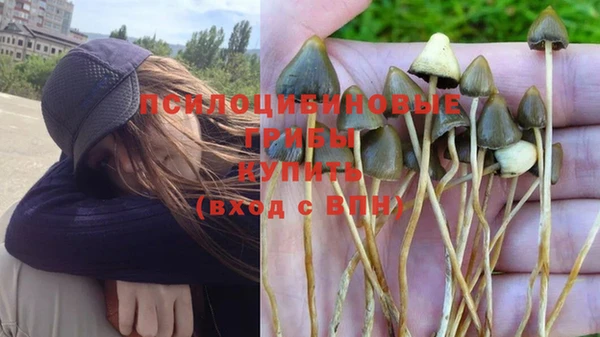 эйфоретик Новочеркасск